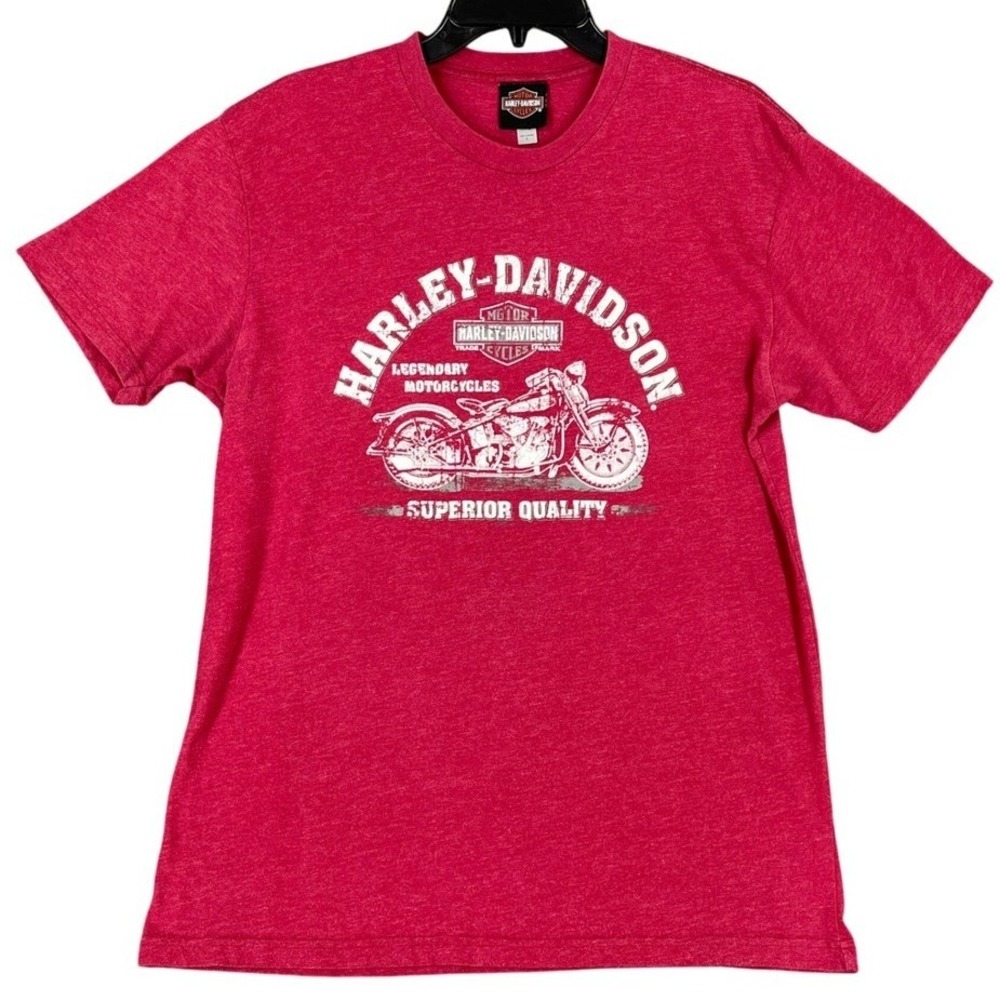 Harley Davidson Motorcycle Dealer Shirt Mens L Timms Anderson‎ SC Grunge Biker